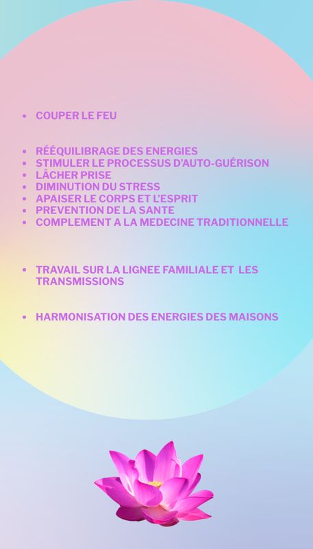 Envolée de Plumes
